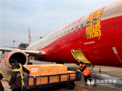 云南民航運(yùn)輸部門全力保障疫情防控物資與飼料生產(chǎn)運(yùn)輸